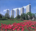 Huiyuan International Apartment, hotels, hotel,20144_1.jpg
